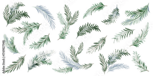 Fototapeta Watercolor fir and pine branches isolated on white background. Botanical clipart for cards, labels, and design. Evergreen conifer elements for winter and Christmas projects.