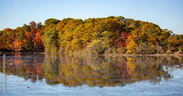Obraz Autumn trees reflected in a river.