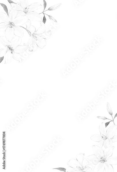 Fototapeta 白ユリのフレーム　モノクロイラスト　喪中はがき