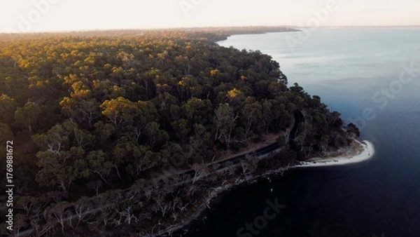 Fototapeta Beautiful coastal view of lush forests near a serene lake during golden hour in a peaceful natural setting
