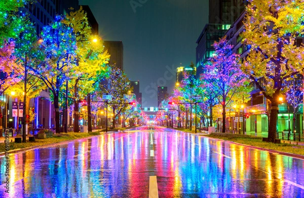 Obraz イルミネーションに照らされる雨の御堂筋