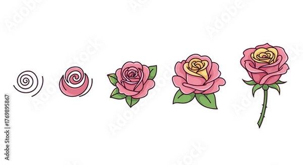 Fototapeta Vector cartoon illustration of a rose's life cycle, from a simple spiral to a fully bloomed pink and yellow flower with green leaves and stem, presented in a sequential, ordered set against a clean