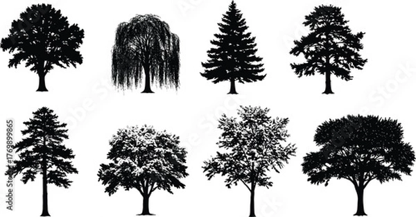 Fototapeta Tree silhouettes, forest shapes, botanical icons, nature illustration, landscape elements, black trees, foliage patterns, seasonal design, environment, vector art