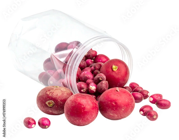 Obraz Transparent plastic bin spilling bright red, round radishes with green stems onto a black surface