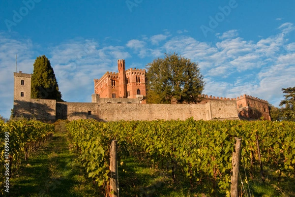 Obraz Brolio castle chianti