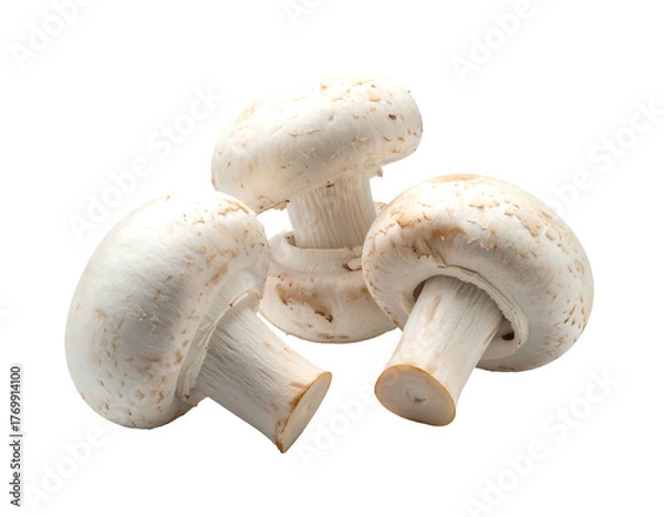 Fototapeta Trio of creamy white mushrooms are shown against a stark black background, their forms softly lit and visually appealing