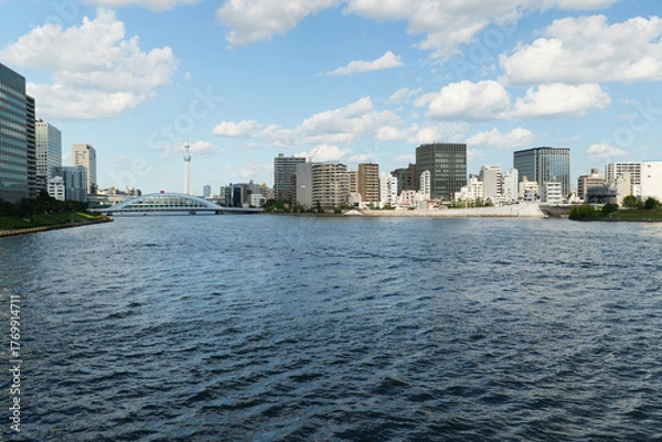 Fototapeta 神田川から見るスカイツリー