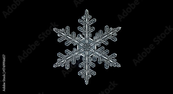 Fototapeta Intricate Snowflake Crystal Macro Photography Detailed Ice Formation.