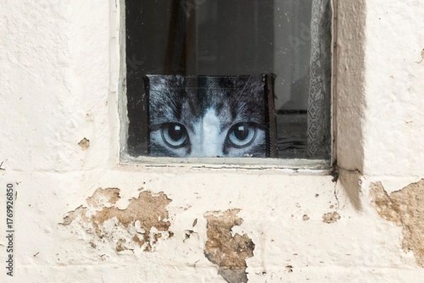 Obraz Cat print shopping bag by window