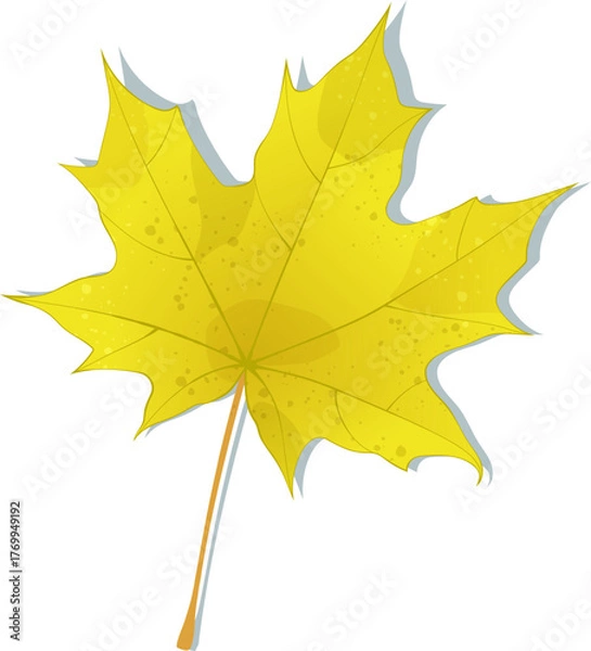Fototapeta Hand-drawn yellow maple leaf isolated on white background. Flat and line style autumn colored vector illustration. 