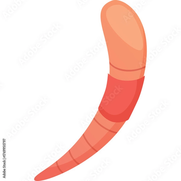Fototapeta Pink And Orange Segmented Worm Shape Illustration With Transparent Background