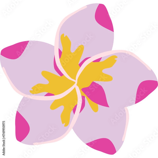 Fototapeta Pink and Purple Plumeria Flower with Yellow Center Against a Transparent Background Vector Art