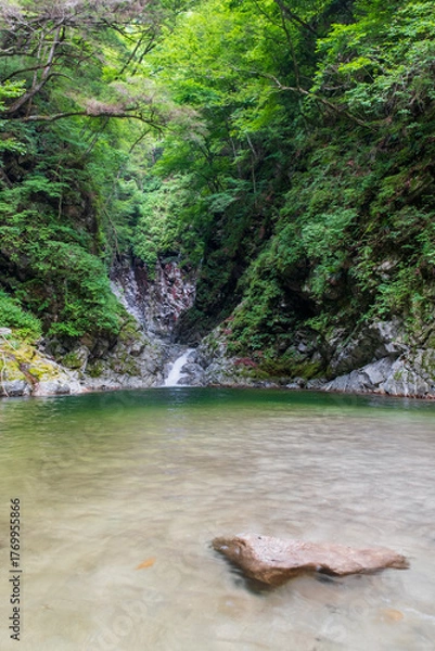 Fototapeta 尾白川渓谷　千ヶ淵