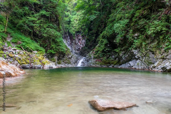 Fototapeta 尾白川渓谷　千ヶ淵