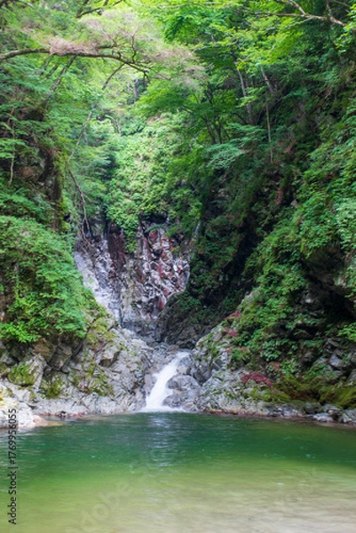 Fototapeta 尾白川渓谷　千ヶ淵