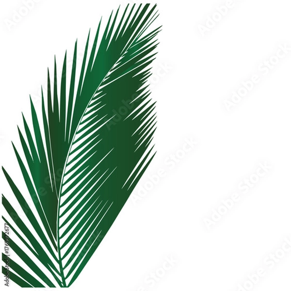 Fototapeta Make a Professional Coconut Leaves Vector