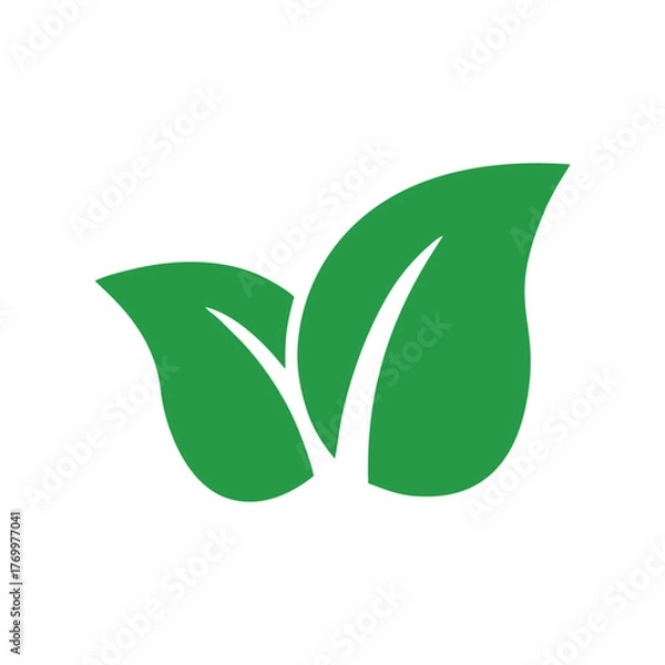 Obraz Make a Professional Leaf Logo Vector