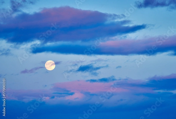 Fototapeta Full Moon and Pink Clouds at Dusk. A full moon rising into the clouds.
