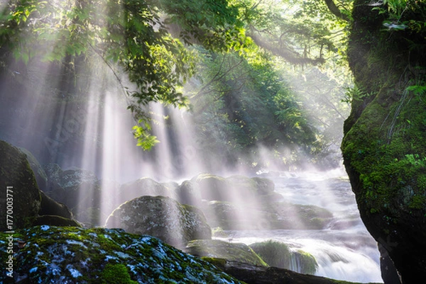 Fototapeta 熊本-【菊池渓谷の光芒】