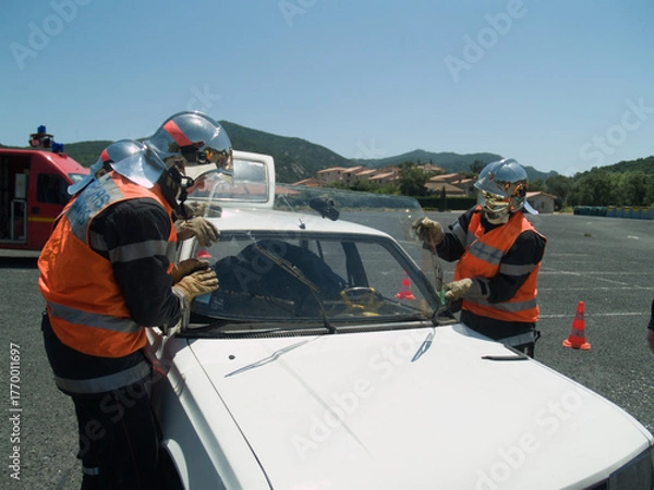 Obraz Dual Force Precision