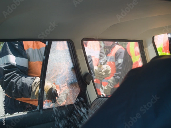 Obraz Shattered for Rescue