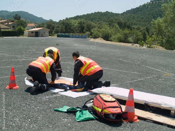 Obraz Assembly in Motion