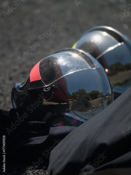 Obraz Reflections in Motion