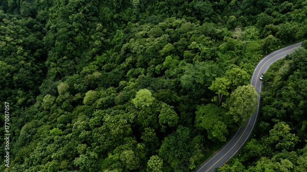 Fototapeta Road rainforest ecosystem and healthy environment concept , Road in the middle of the forest Concept of using electric cars to protect the environment and transportation