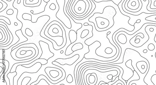 Fototapeta Abstract Topographic Map Black and White Contour Lines Geography Topography Texture Background Earth Land Elevation Cartography Vector Illustration