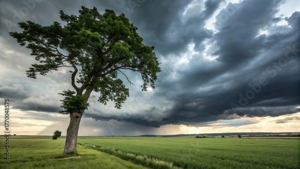 Fototapeta Lone tree in open field beneath dramatic cloudy sky, moody landscape nature photography