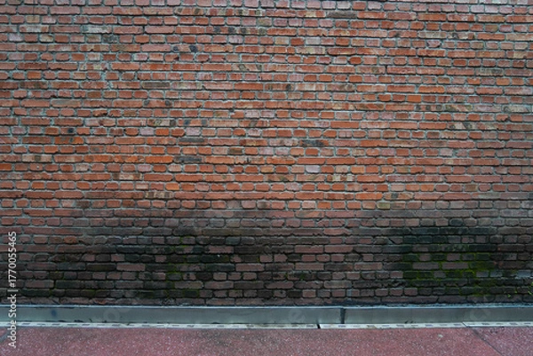 Fototapeta Red brick wall with moss and fungus growing around the surface of the red brick wall, street wall background
