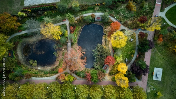 Fototapeta nature mosaic view, landscape ecologist examines interconnected ponds and vibrant vegetation patches