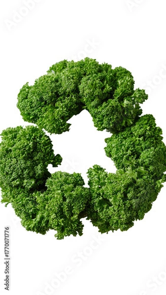 Obraz Green, leafy recycle symbol on black, textured