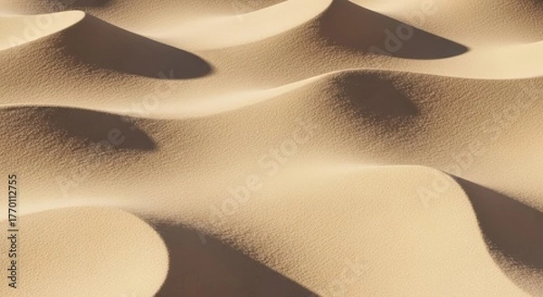 Fototapeta Abstract Sand Dune Curves with Golden Sunlight and Deep Shadows
