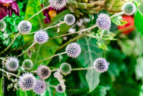 Obraz Beautiful flowers decorations, flower background, backdrop wedding decoration, rose pattern, colorful background, bunch of flowers