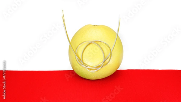 Obraz 晩白柚（お正月）