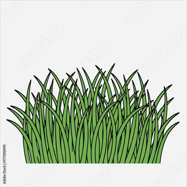 Fototapeta Illustration of a bunch of green grass blades with black outlines against a white background.