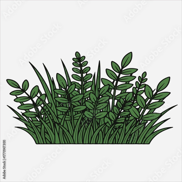 Fototapeta Digital illustration of lush green grass and plants on a white background with bold black outlines and vibrant foliage.