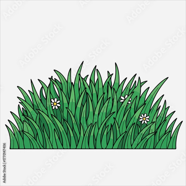 Fototapeta Illustration of a cluster of green grass with two small white flowers against a plain white background.