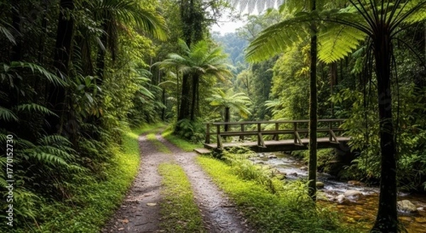 Fototapeta Dirt path through lush green forest leading to a wooden bridge