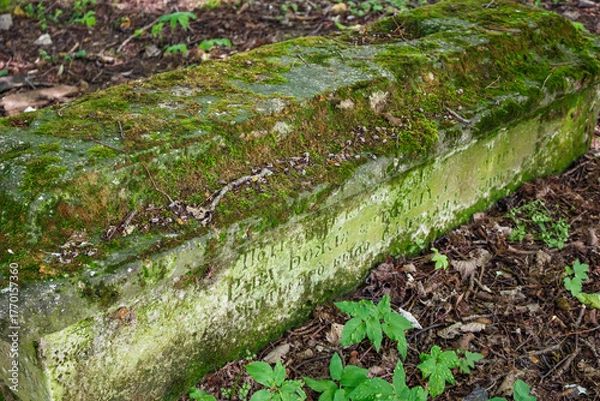 Obraz Weathered mossy tombstone, ancient Russian inscription, nestled in a quiet, overgrown natural setting. A somber relic of history