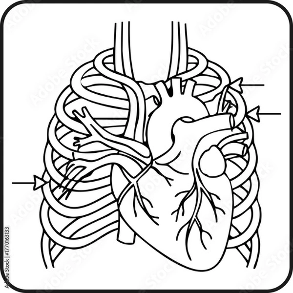 Obraz Healthcare Heart Bypass Surgery