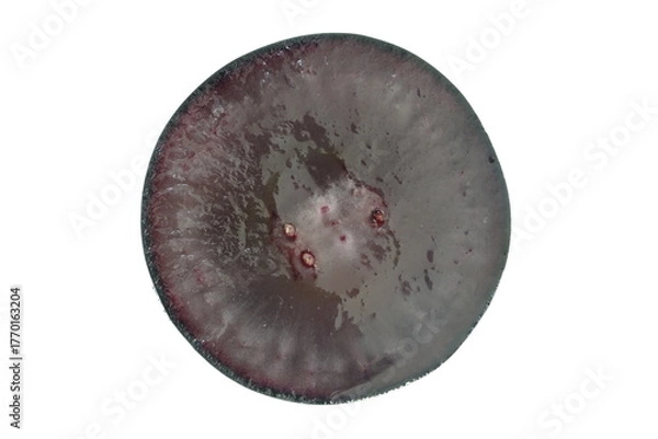 Obraz ブドウ　ナガノパープル　長野県産