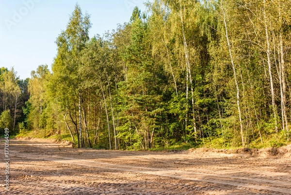 Obraz Cleared forest land for development, showing an empty dirt track beside a vibrant woodland. Construction site preparation in late summer