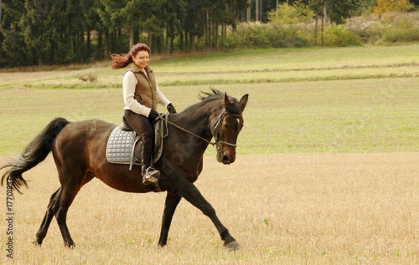 Obraz Equestrienne.