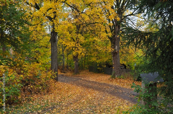 Obraz Wanderweg im Herbst