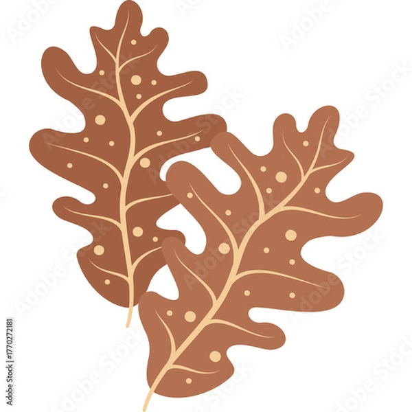 Fototapeta Two Brown Autumn Oak Leaves With Small Cream Dots And A Transparent Background Representing Fall Season