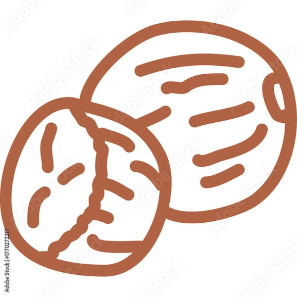 Fototapeta Two brown coconuts drawn in a simple outline style on a transparent background with one coconut cut in half revealing its inner texture and segments