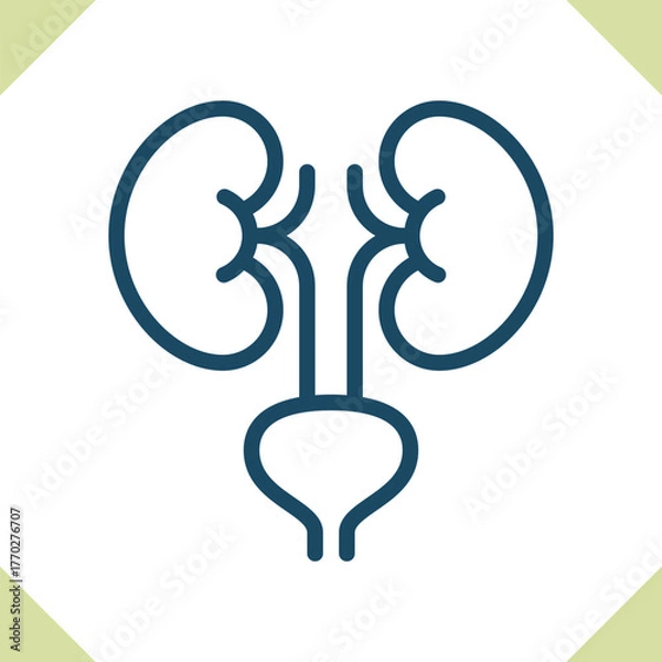 Fototapeta Kidneys Icon