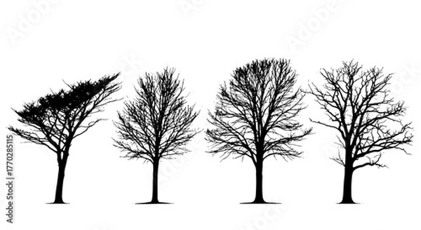 Fototapeta Bare Trees Silhouetted in Winter Progression: A Sparse Forest Landscape Demonstrating Seasonal Change for Environmental Awareness and Ecological Studies. Representing Nature's Cycle, ideal for Educati